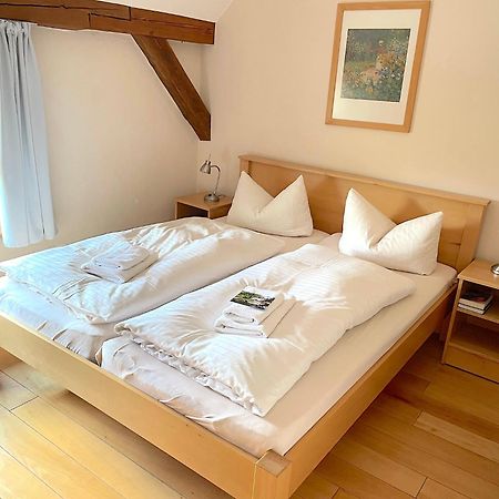 Biohotel Stiftsgut Wilhelmsgluecksbrunn Creuzburg Exteriér fotografie