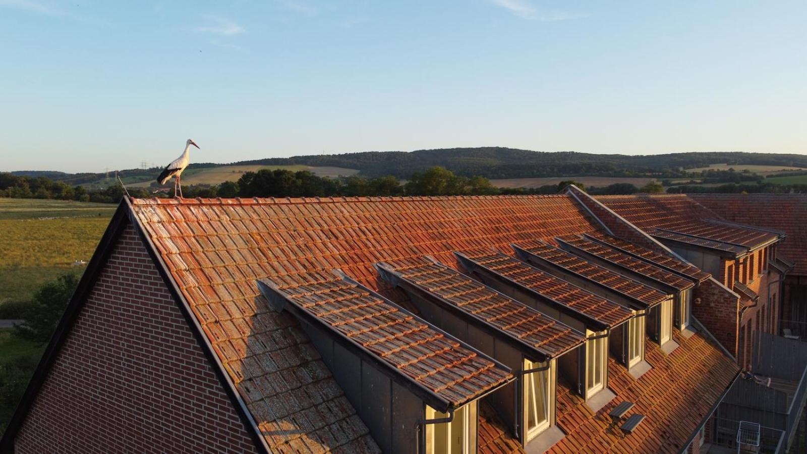 Biohotel Stiftsgut Wilhelmsgluecksbrunn Creuzburg Exteriér fotografie